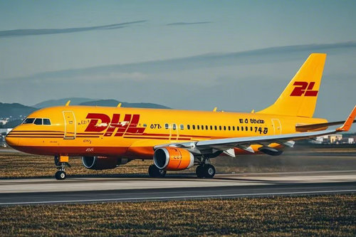 北京DHL國(guó)際快遞可以往國(guó)外郵寄寵物嗎